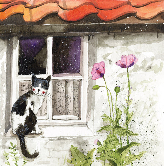 Alex Clark Window Cat Blank Card