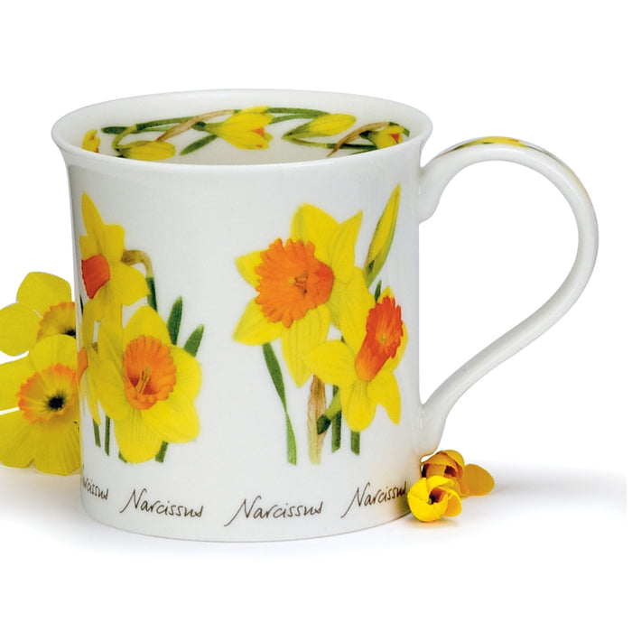 Dunoon Bute Spring Flowers Daffodil Mug