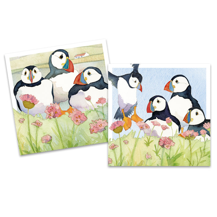 Emma Ball Sea Thrift Puffins Mini Card Pack of 10
