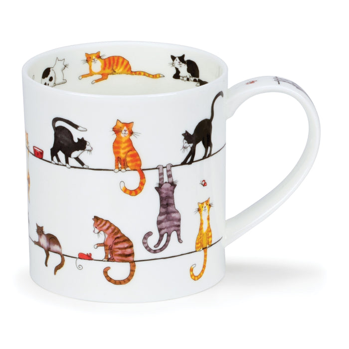 Dunoon Orkney Live Wires Cat Mug
