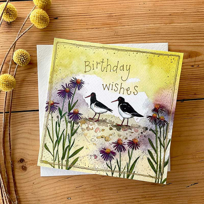 Alex Clark Birthday Wishes Oystercatchers and Sea Aster Card
