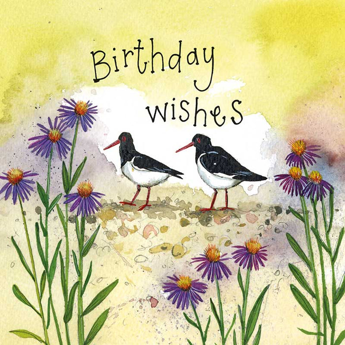 Alex Clark Birthday Wishes Oystercatchers and Sea Aster Card